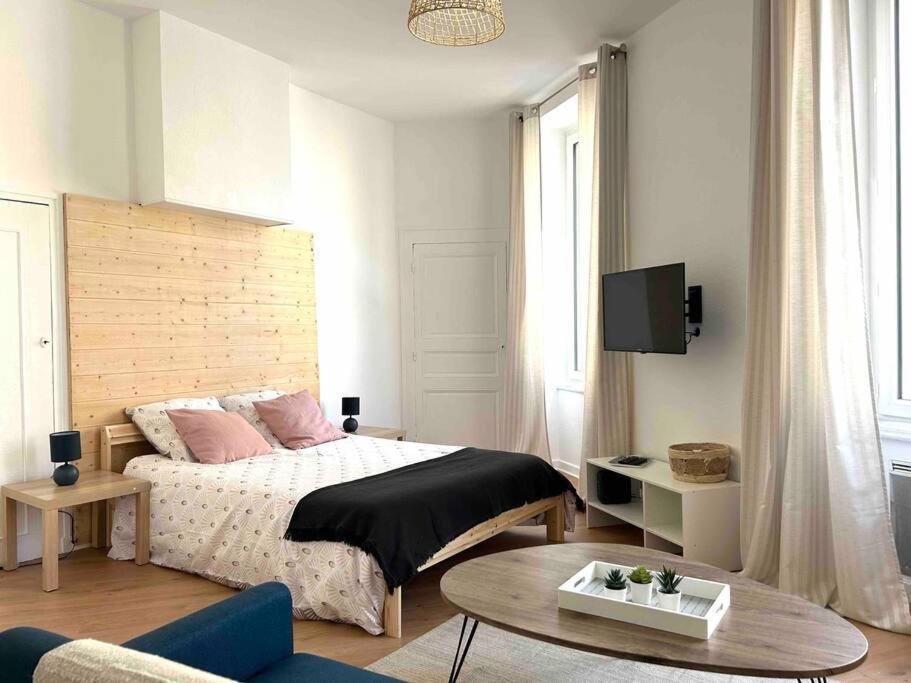 Le «victor Hugo» , Hyper Centre Apartment Vienne (Isere)