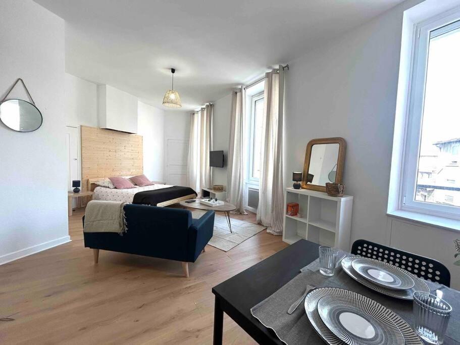 Le «victor Hugo» , Hyper Centre Apartment Vienne (Isere)