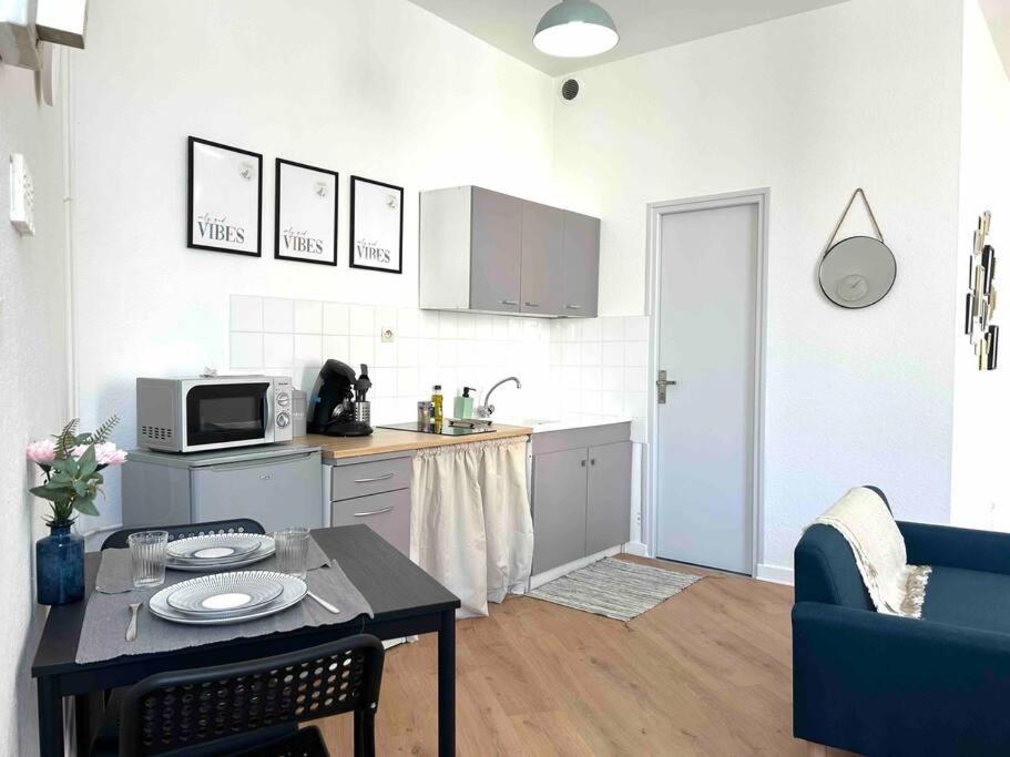 Apartment Le «victor Hugo» , Hyper Centre Vienne (Isere)