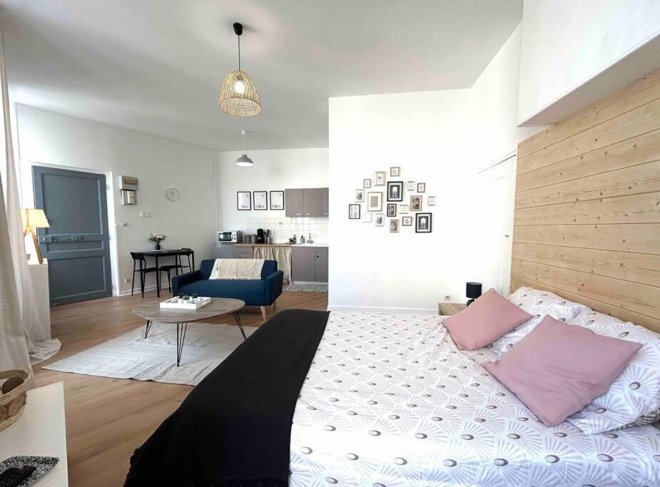 Le «victor Hugo» , Hyper Centre Apartment Vienne (Isere)