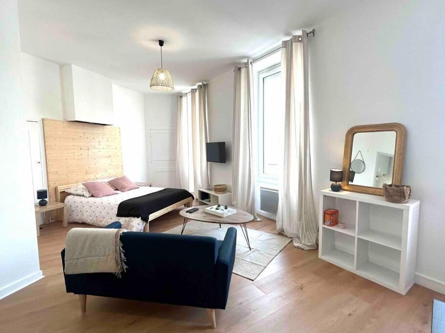 Le «victor Hugo» , Hyper Centre Apartment Vienne (Isere)